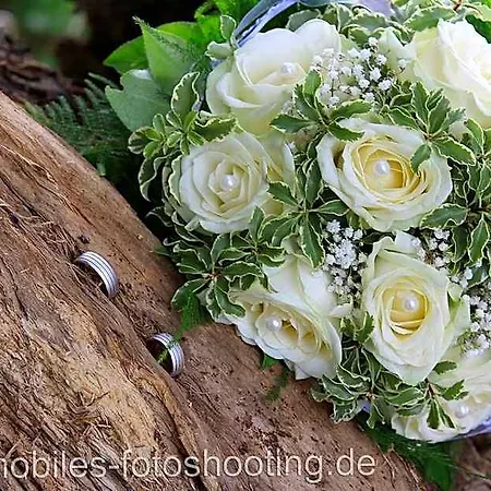 Countryline Seebad Casino Rangsdorf